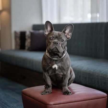 Hampton Inn Cleveland-Downtown Zewnętrze zdjęcie